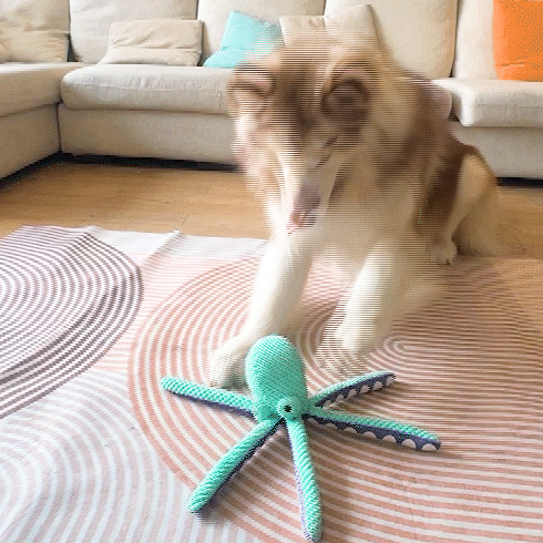 Fuufome Green Octopus Squeaky Plush Dog Toy