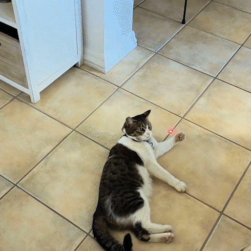 Fuufome Dual-Laser Interactive Cat Toy