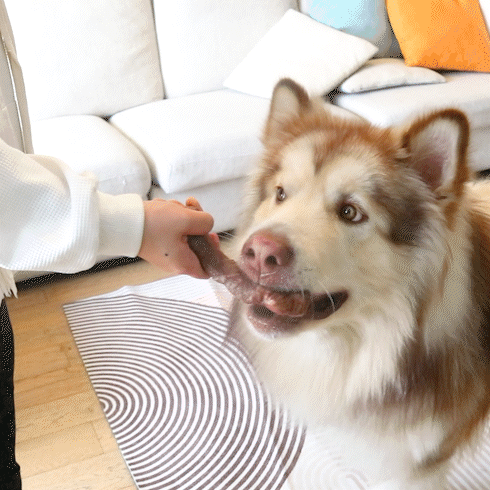 Fuufome Pork Chops and Beef Steaks Set of 2 Chew Dog Toys