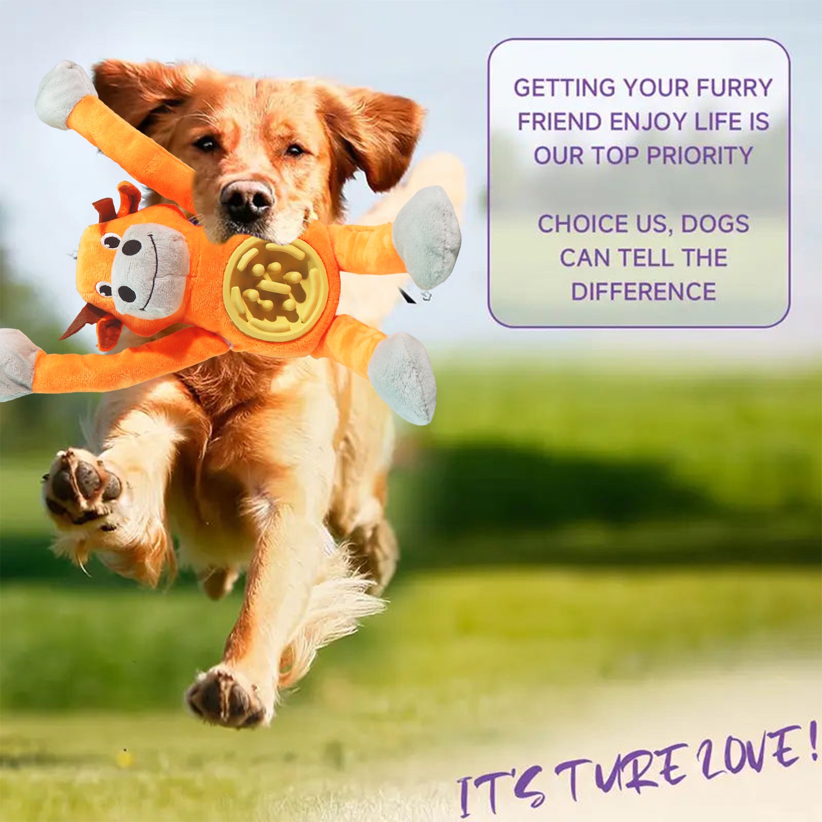 Fuufome Long-Footed Slow-Eating Beef Dog Toy