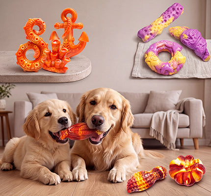Image banner