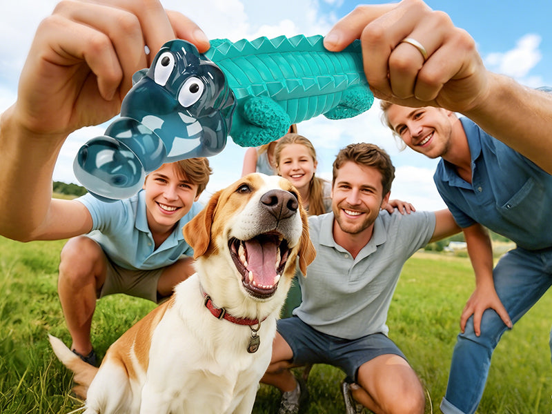 Use our pet toys to add fun to your furry friend's playtime!