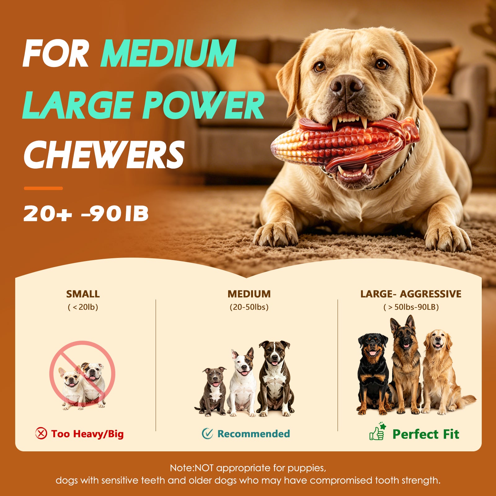 Fuufome Corn, peanuts and pumpkin set of 3 items Chew Dog Toy