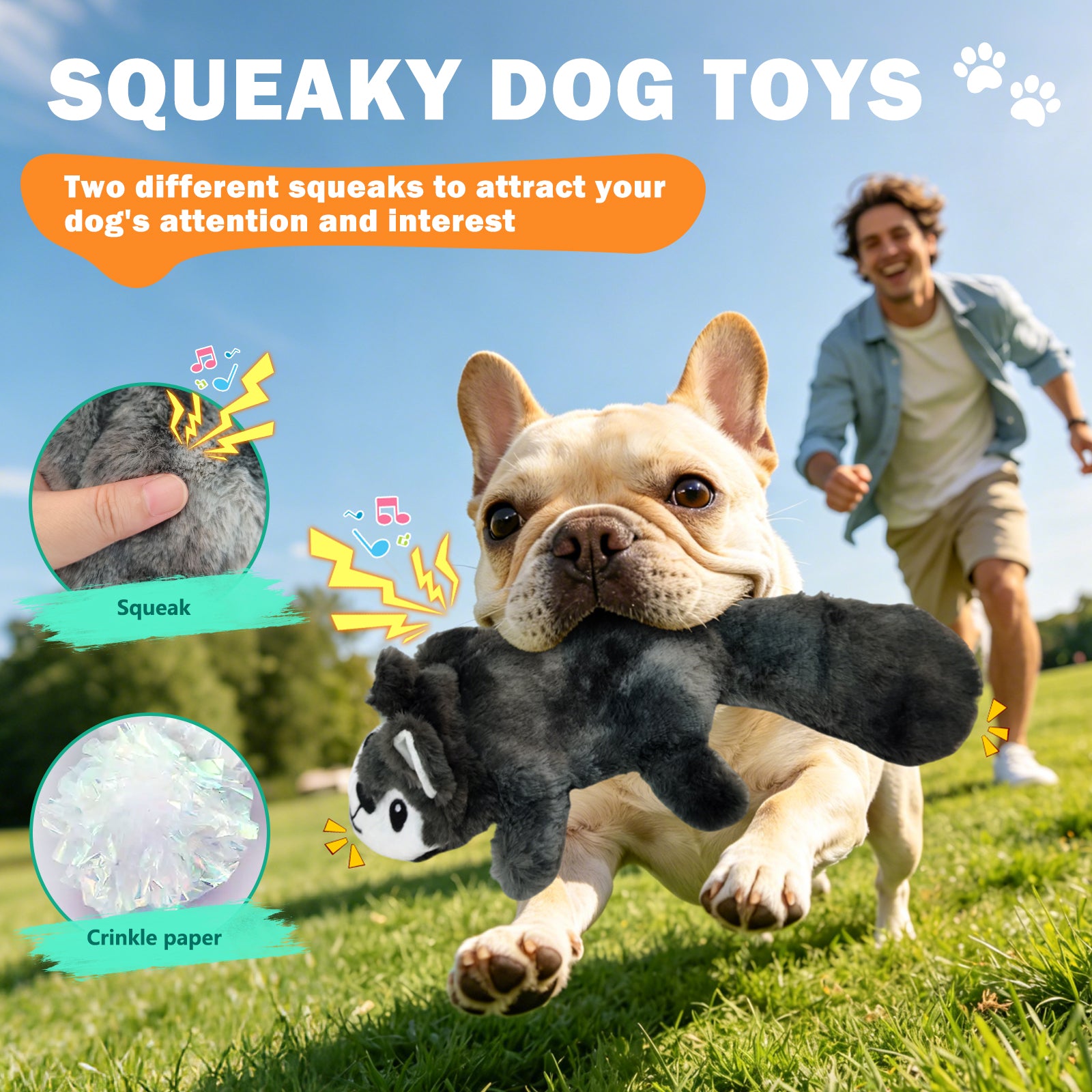 Fuufome Hollow Squirrel Squeaky Plush Dog Toy