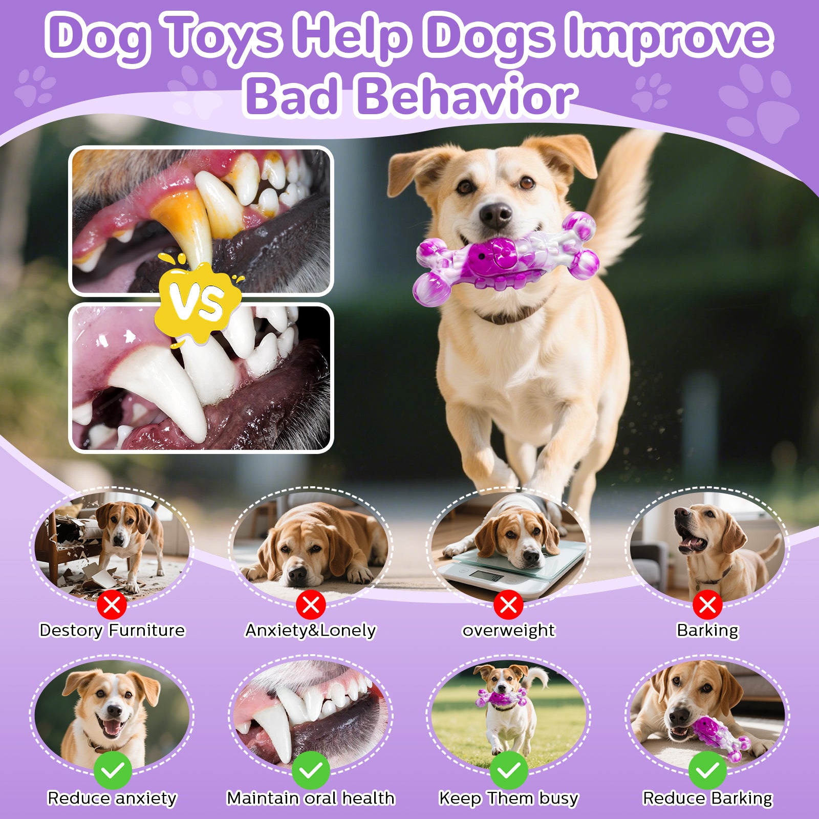 Fuufome Stretching Bone Chew Toy for Dogs