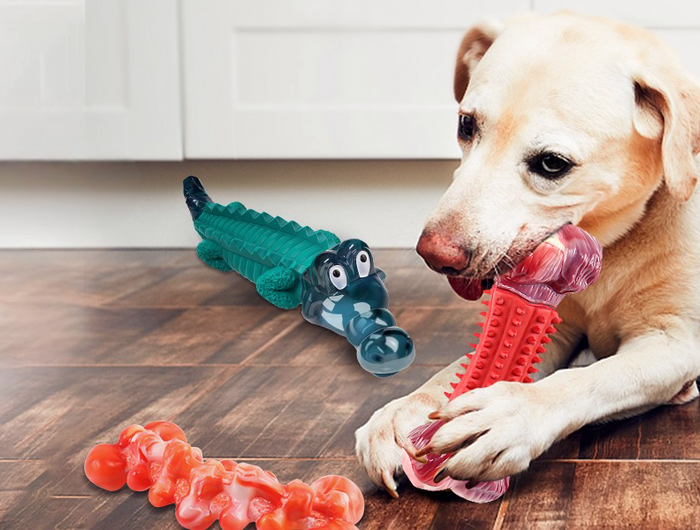 Explore our wide range of dog toys!
