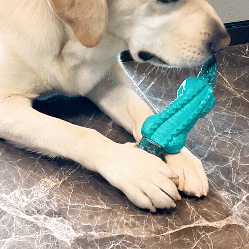 Fuufome Blue Crocodile Chew Dog Toy