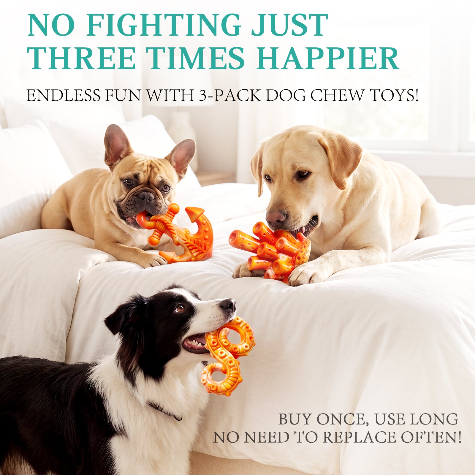 Fuufome Ocean Three-Piece Chew Dog Toy
